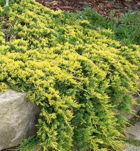 dd7b558abf6fb5fbaba24c2b128d608e