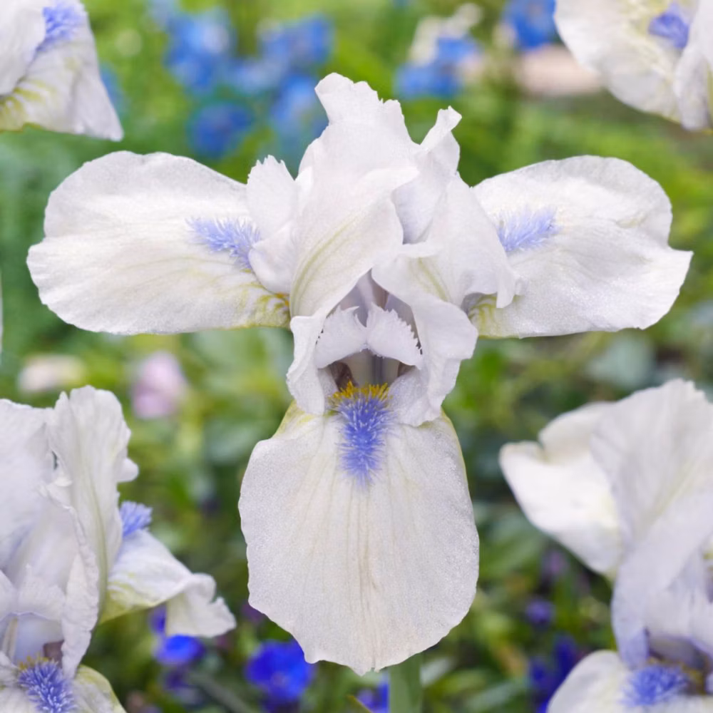 dd7f8bd5532a7993e94e9703a4dca1a8