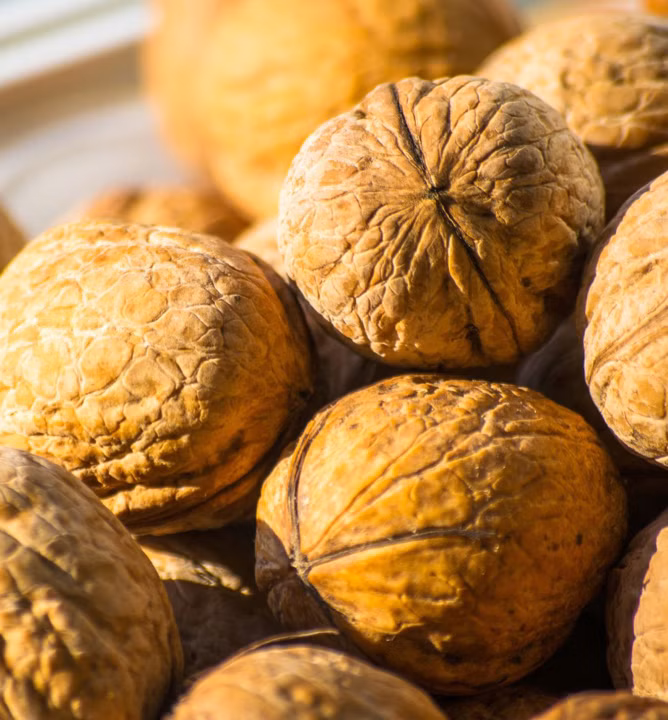 dd8fac1d4e43502ea8325bedf8804294