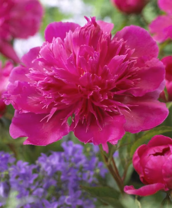 ddc3a84afd1d336078e37ae6644fc623