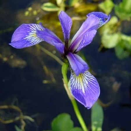 de0527e66e4871bd69e4f7ad7f35c951