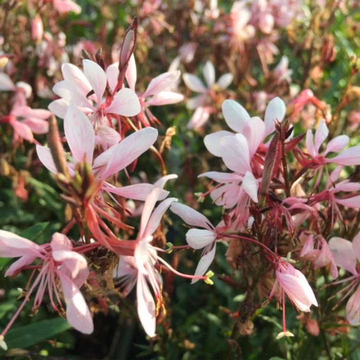 de12901a8097663b5682a3715dca4547