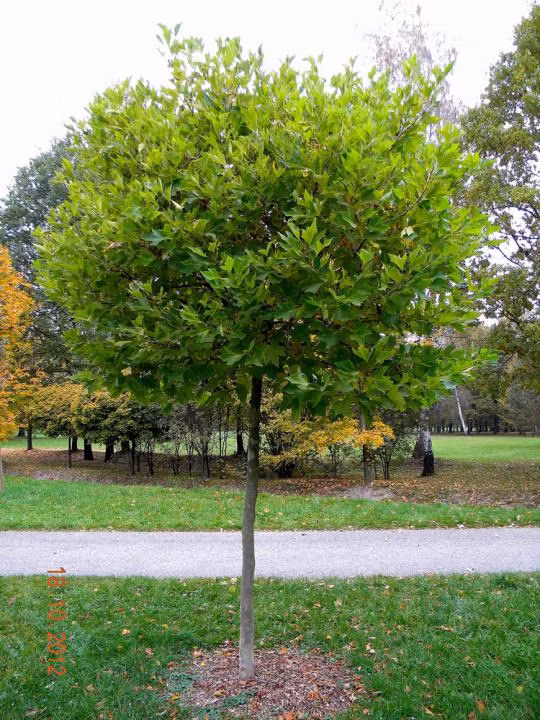 de3b60ff05cf780f51bd9a9328648840