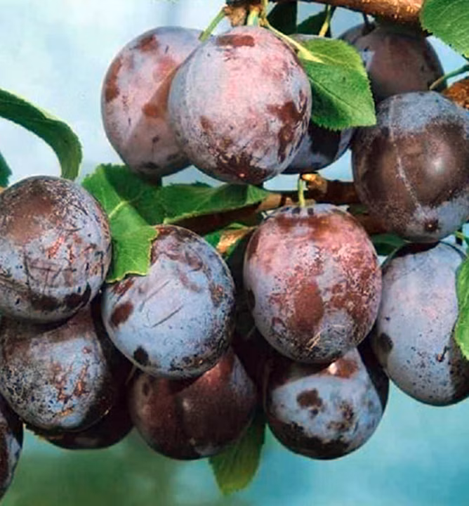 de46968b14fc845f8f52d413b31e1517