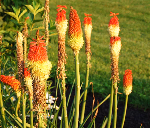 de6dbd34e914dfd803b73a400302577c