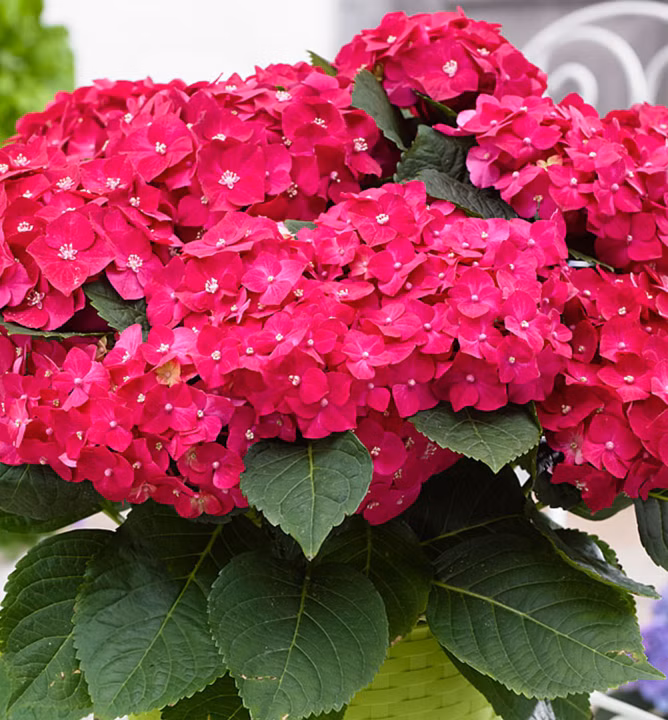 dea80b7684dcee6c6cd3cbf8b14d2831