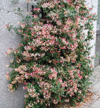 ded3d2e80e8a8dc82e3578feaf8ec794