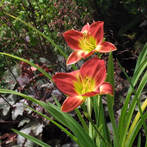 ded7f40ea464e6ca3c1f235cda6ff39a