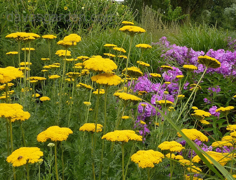 df5daaf9304bc118a6b41be24fde31af