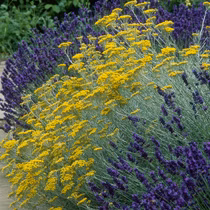 df8164b9479cf8a8f6ae3df866d0d142