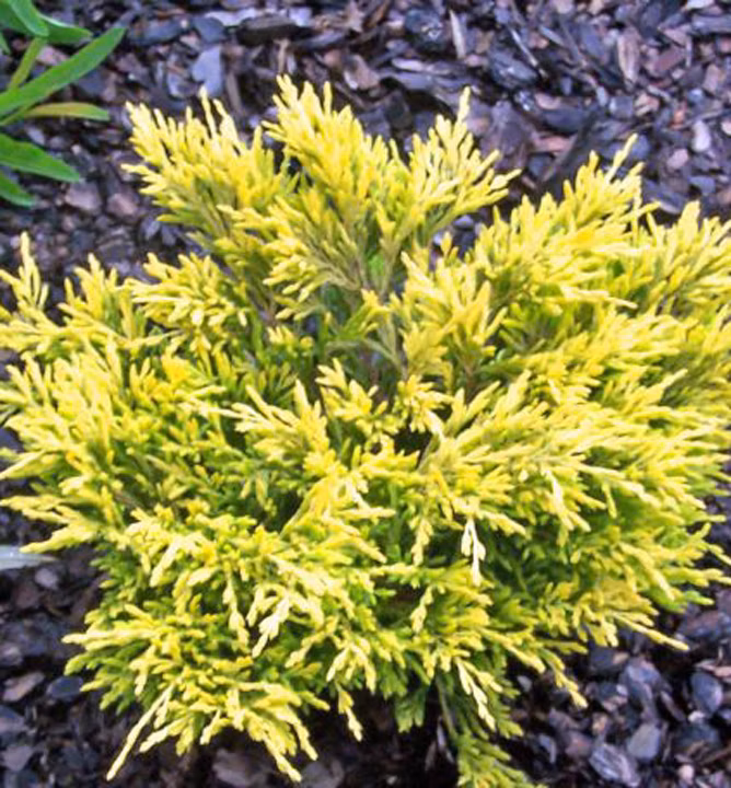 dfb150a8967267262354325462597fc2