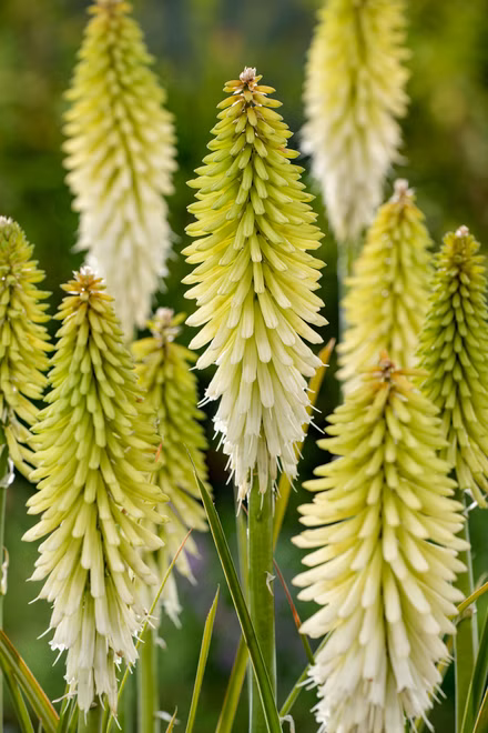 dfbbe3a8be0b39f5a0089962b2f4660c