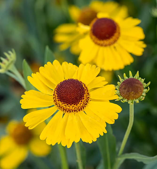 dfdc08f27547a36ec2c8d9ce2057a1d0