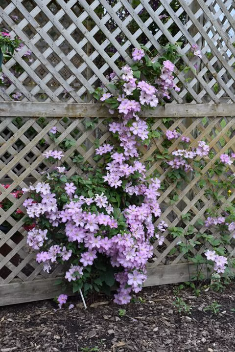 e00cff8588246f24b7a9473dfc17357e