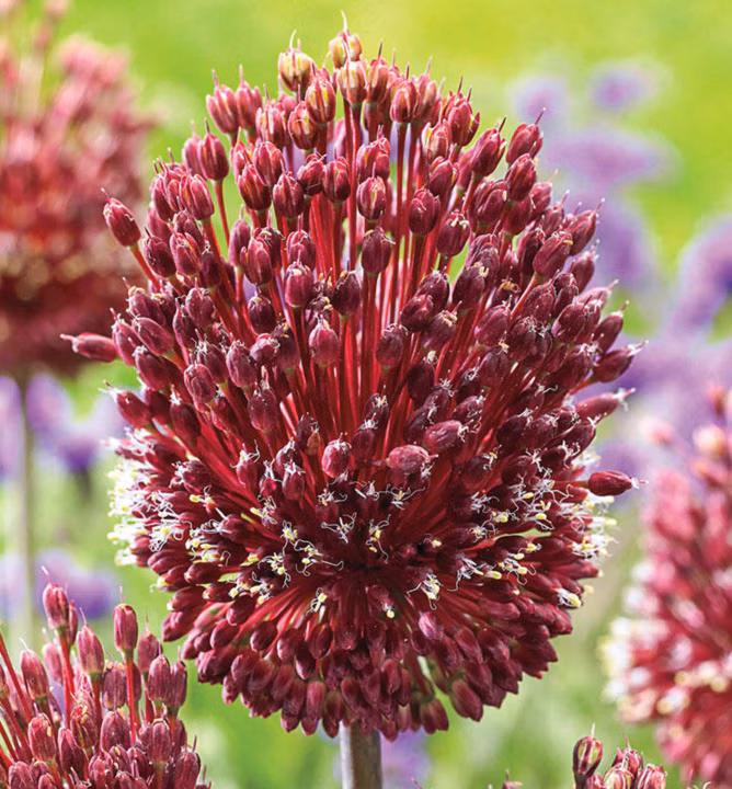 e025b39cb6d1b284bdd7ad497121dda8