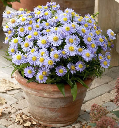 e03aafc734886802485ac81f532e5606