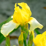 e0475da8c17a4976c1449273b14086ed