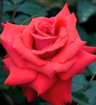 e0ac94294fb2171497177829cd3a3d9e