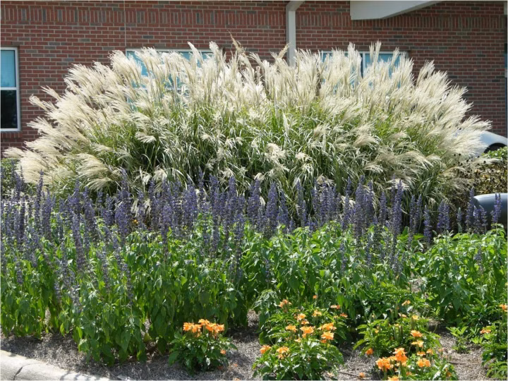 e0f21ec81643de70b6042a56f8ca78ad