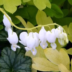 e102e12d2cb386e180350057e8ba3ffe