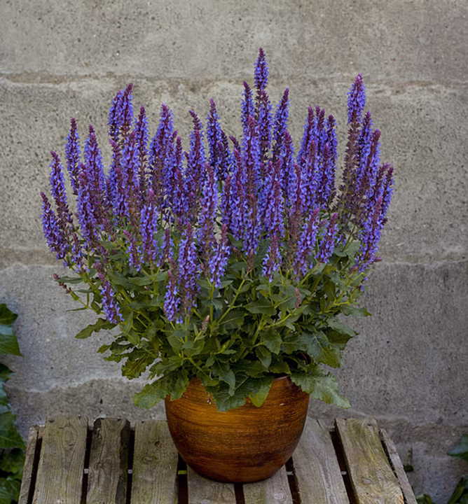 e112a66fa0093d43f206c818de8e6f6e