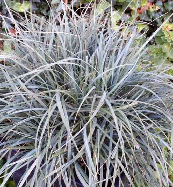 e11ce4dcbe70451c94d388d0aa7c9e03