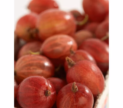 e12e678e282b7b1820a199d01ebebd17