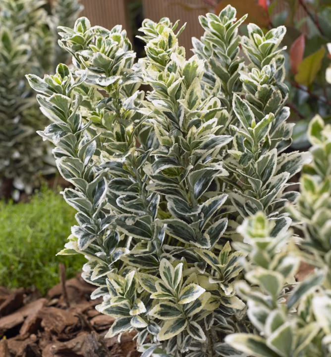 e134c3cc2cf7046104aef2dd5f45bbb2