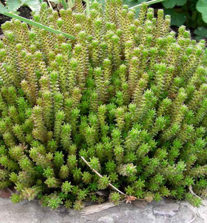 e136fe4cb04b5cdcfdc7bd7fa1af5445