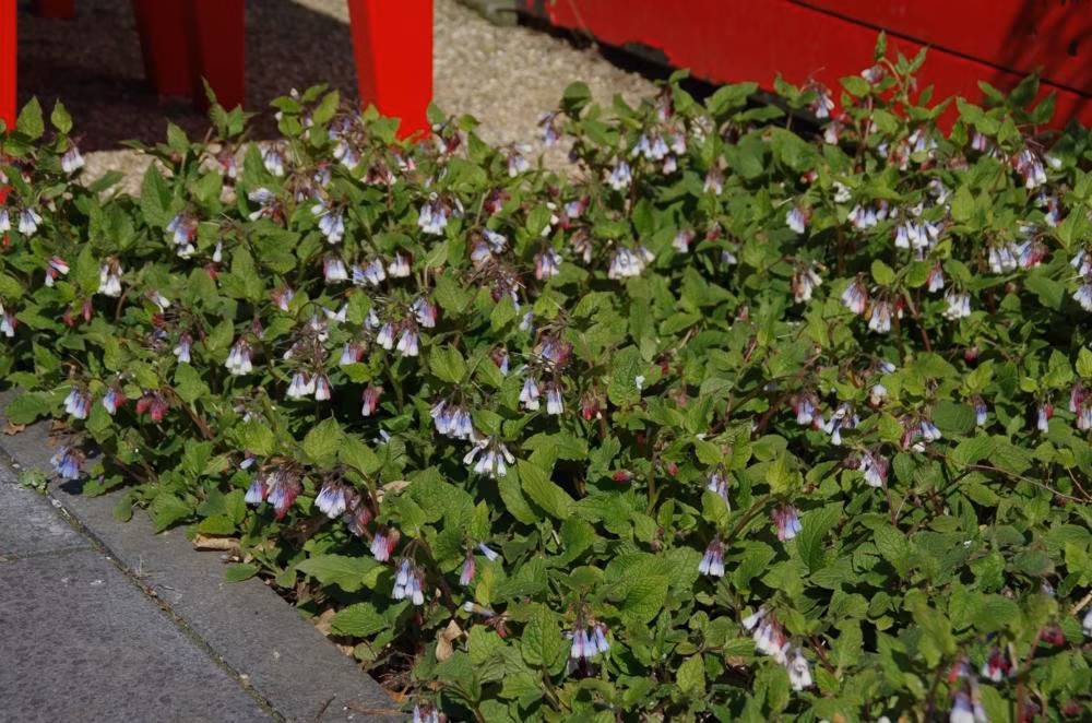 e14ddff640caf5f3b596047614843f89