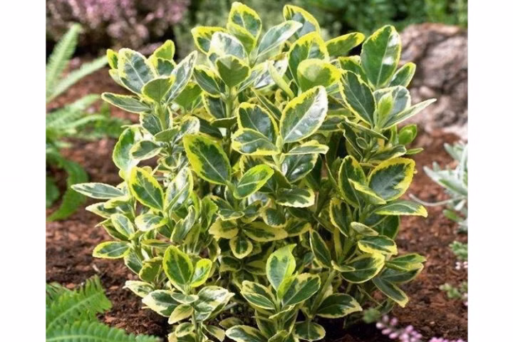 e15d40107dd968c1e07c77d3efc6f674