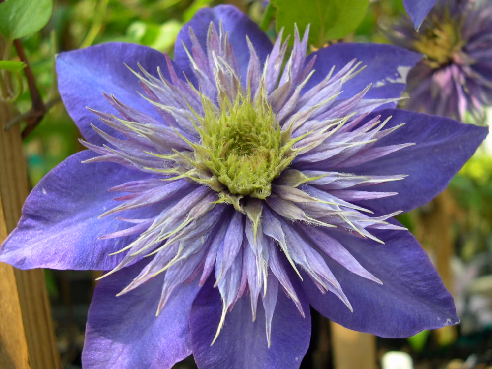 e174677488603cc7a808b2d1224673ef