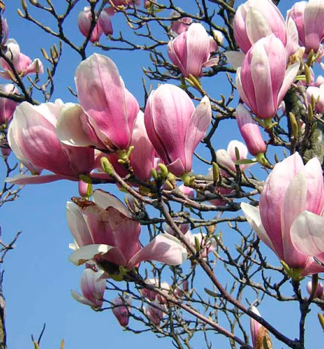 e1ae8fcfe30f8edb687a2128dc2eb7d5