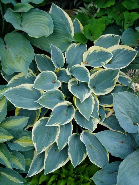 e1b1707532535375df6b361a83e66534