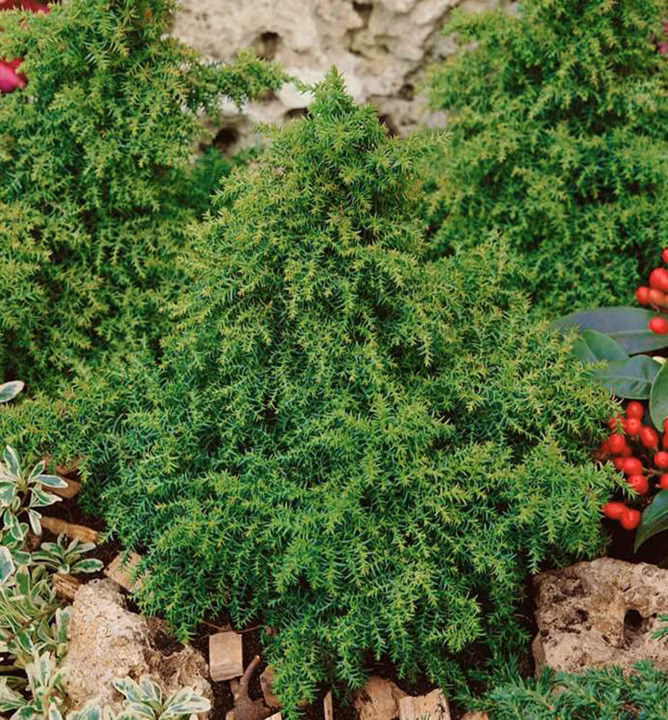 e1e3d4553655af15420370e68e09c4e0