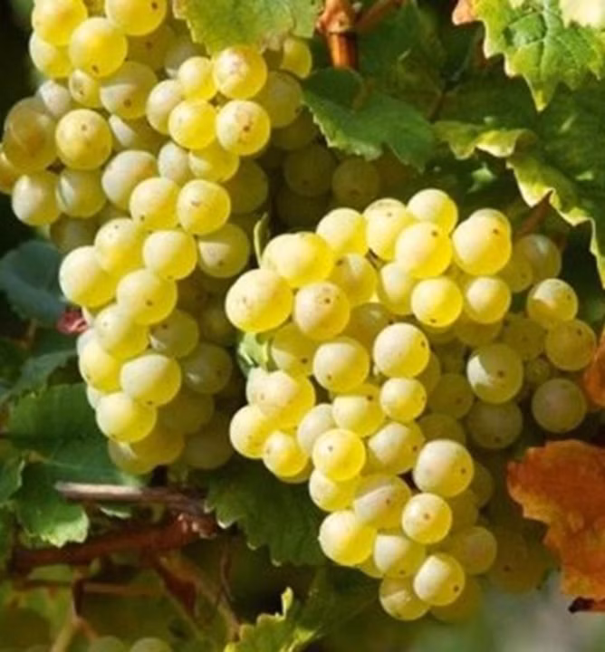 e1e56a30679df39c97ed366d89c6c85e