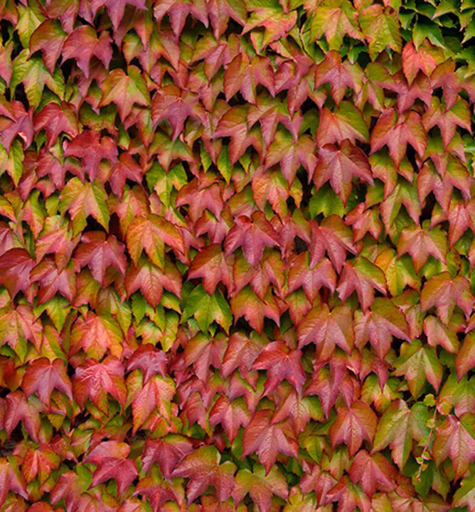 e1fc168bf009dbf5e72bf5621f6061de