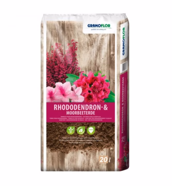 e20050d42b027e1035348810f6fc9fbe