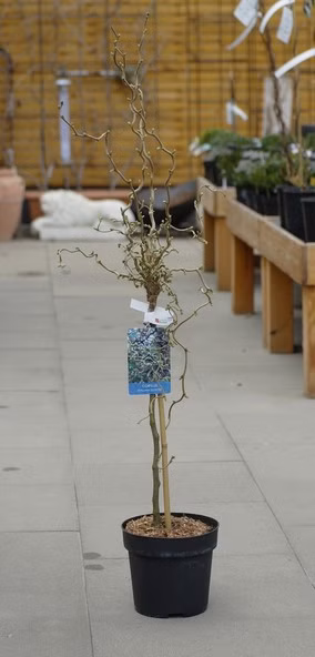 e22983bb0f8c375a2509911ccdea204a