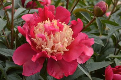 e2688f1f126d7cc2fc92a151e10f3d79