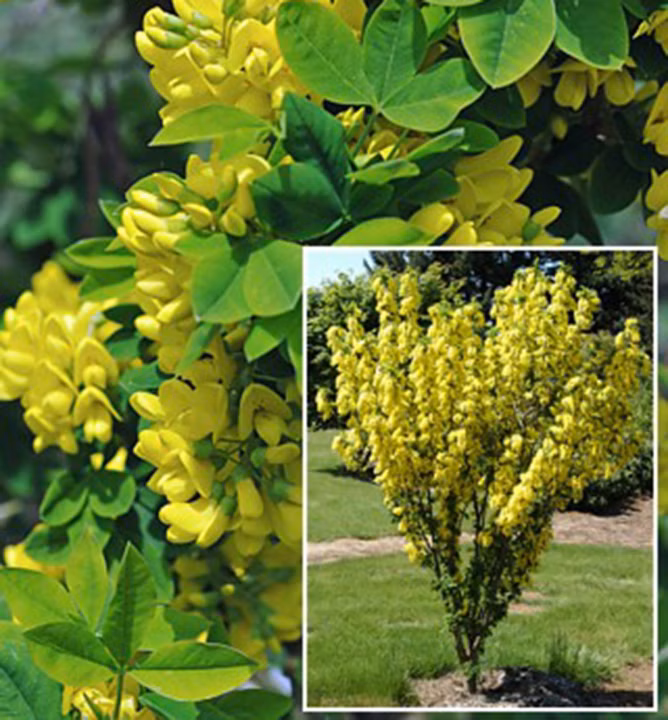 e2b42c30b8845a4b6aaa150dff7a7480