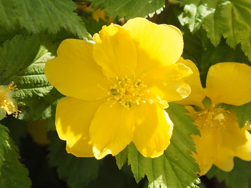 e32914611a340947cd33041bfaba6f27