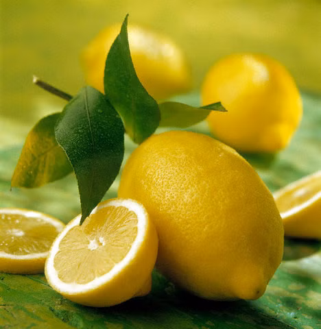 e32db31c82b6605d43aab8bad810e556