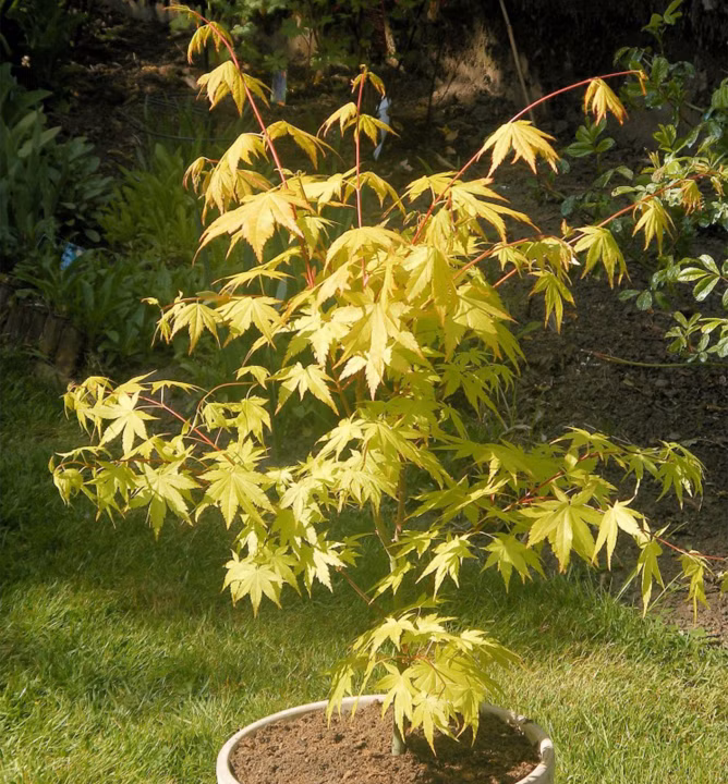 e335a853fff3abc02b94fd8a2d12e5e3