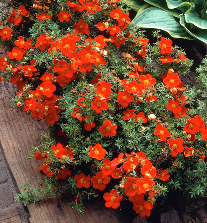 e337aa8ce90c04cd40ec3d43bf0cc07b