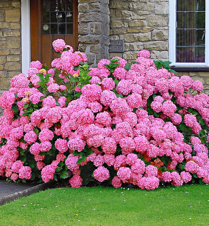 e35afd81323533aa41b524518877cf7d