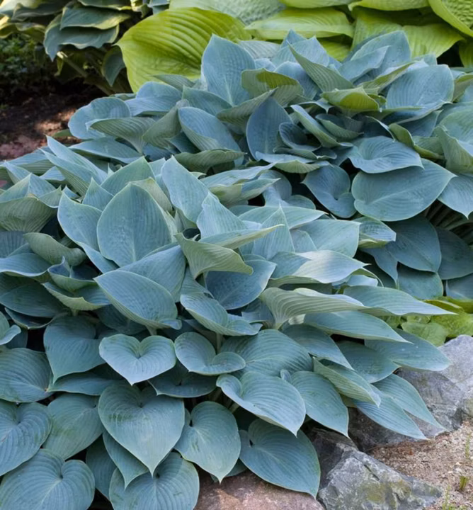 e37fb89b8a3921b45834be325021eeb9