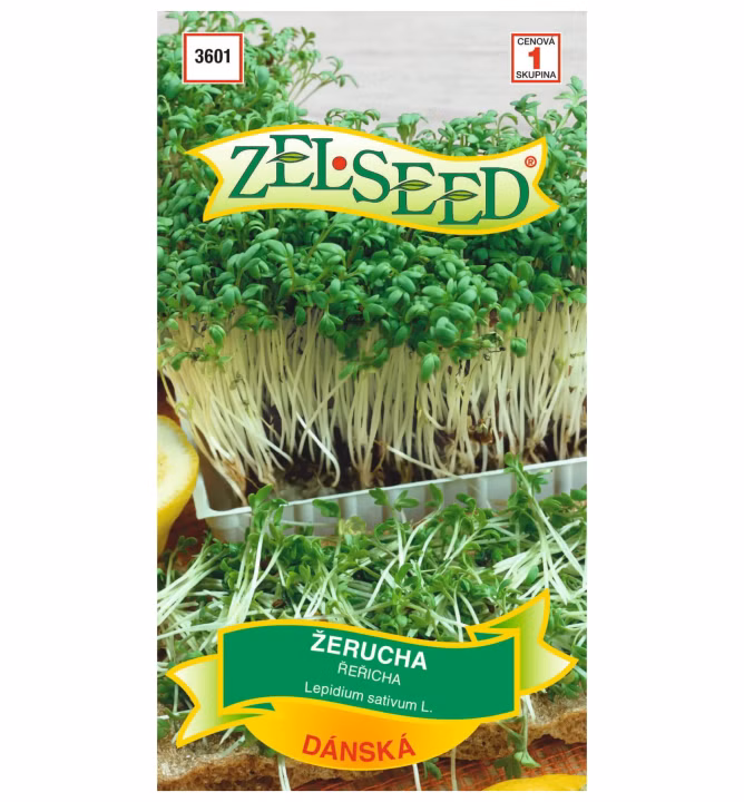 e385843e64f7d8fa9dbb6c853262266a