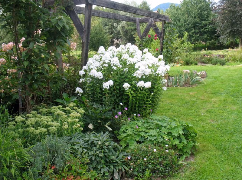 e3a95e1fae1c8f091f489eac5b3bd108