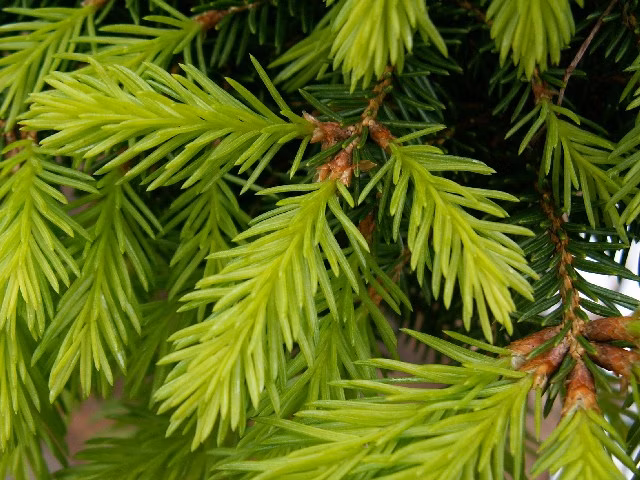 e3c17c8b8196e3e2c13d6bf75bc53349